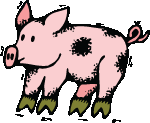chancho