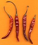 chile de árbol