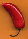 red jalapeño