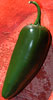 jalapeno